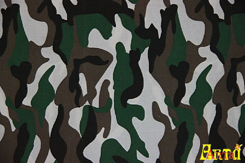 camouflage,camouflage